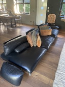 Roche Bobois Sofa