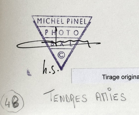 Image 1 of Michel Pinel 1949-2022 Magnifique Photo Artistique " Tendres Amies De 1980