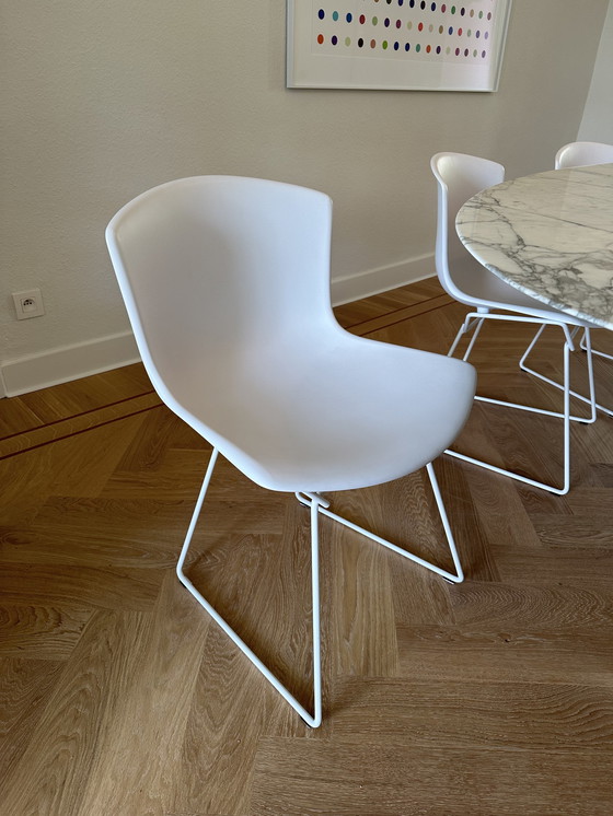 Image 1 of 8x chaises en plastique Knoll Bertoia