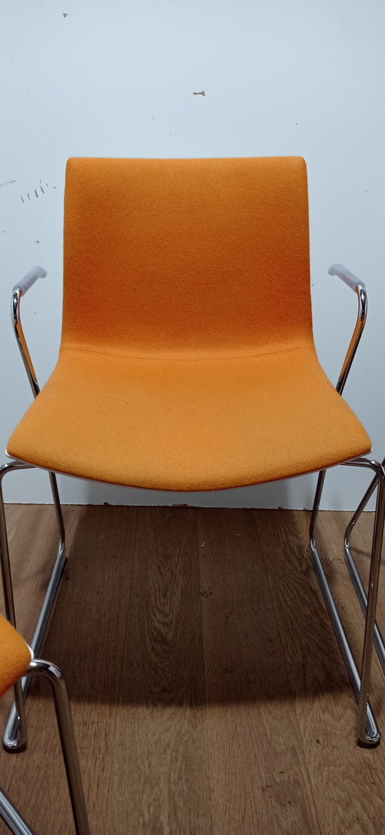 Image 1 of 4x Arper Catifa chair