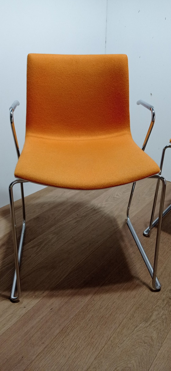 Image 1 of 4x Arper Catifa chair