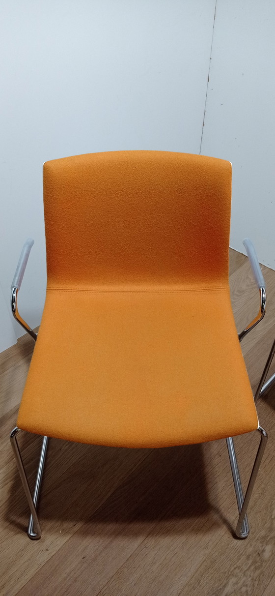 Image 1 of 4x Arper Catifa chair