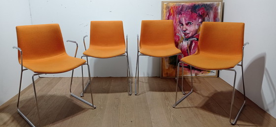 Image 1 of 4x Arper Catifa chair