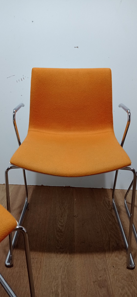 Image 1 of 4x Arper Catifa chair