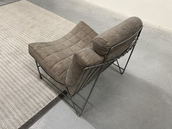 Image 1 of Leolux Volare Armchair Maple Fabric