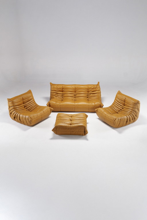 Togo Set By Michel Ducaroy For Ligne Roset, France, 1970S