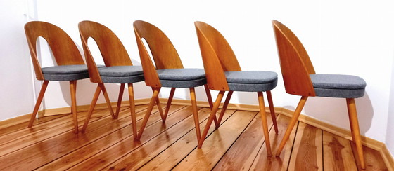 Image 1 of Set Of Five Chairs, Design. A. Suman, Tatra Nabytok, Czechoslovakia, 60S