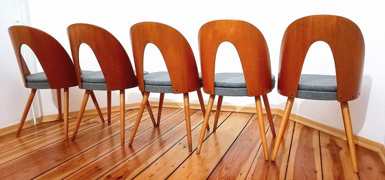 Image 1 of Set Of Five Chairs, Design. A. Suman, Tatra Nabytok, Czechoslovakia, 60S