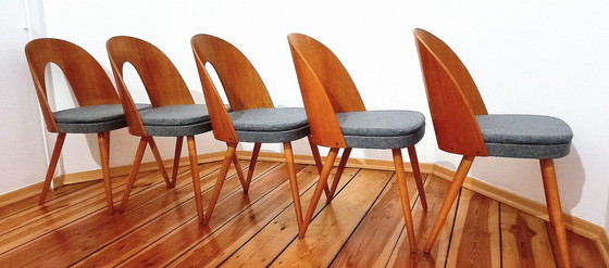 Image 1 of Set Of Five Chairs, Design. A. Suman, Tatra Nabytok, Czechoslovakia, 60S