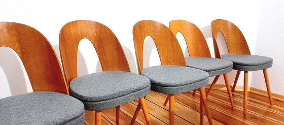 Image 1 of Set Of Five Chairs, Design. A. Suman, Tatra Nabytok, Czechoslovakia, 60S