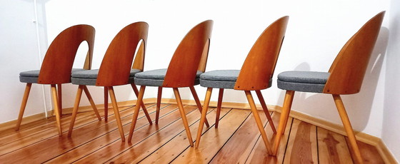 Image 1 of Set Of Five Chairs, Design. A. Suman, Tatra Nabytok, Czechoslovakia, 60S