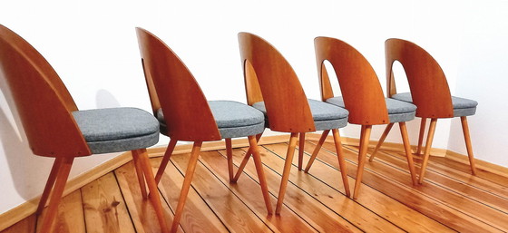 Image 1 of Set Of Five Chairs, Design. A. Suman, Tatra Nabytok, Czechoslovakia, 60S