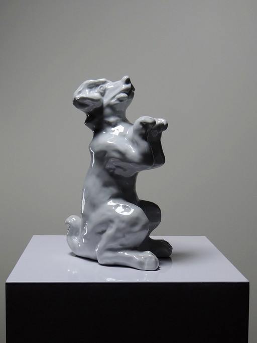 Fine White Porcelain Subject, Crazy Dog Making Beauty