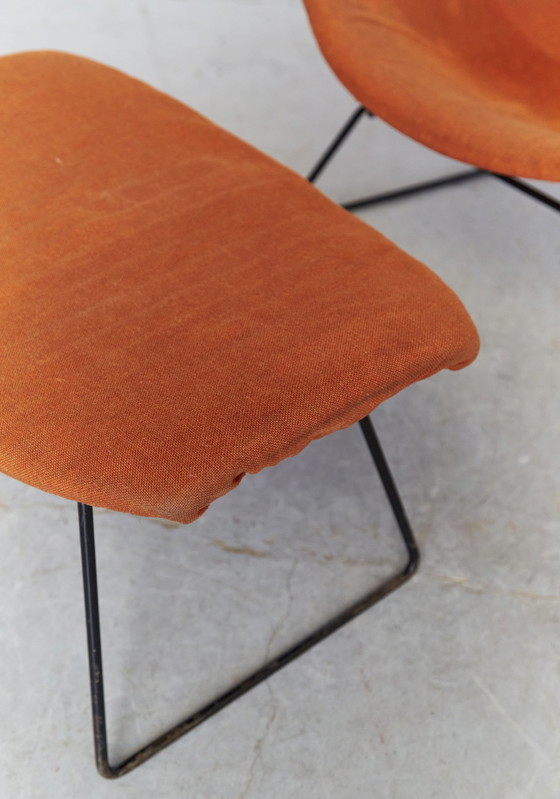 Image 1 of Bird Chair and Ottoman by Harry Bertoia for Knoll Inc. / Knoll International, 1960s