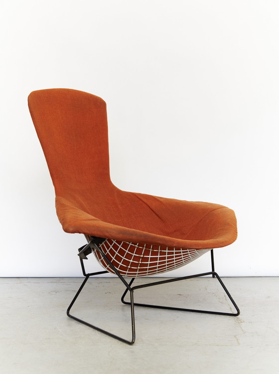 Image 1 of Chaise et ottoman Bird par Harry Bertoia pour Knoll Inc / Knoll International, 1960s