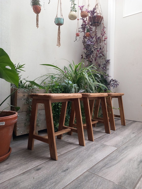 Image 1 of 3x Vintage Stools elstar recycled oak wood
