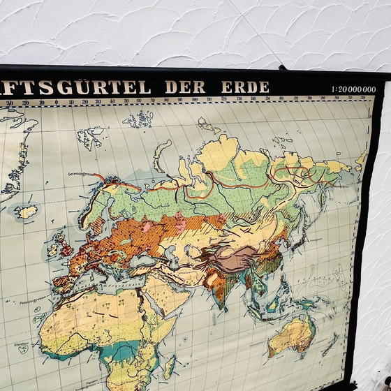 Image 1 of Mappa didattica “Tipi di paesaggi sulla Terra”