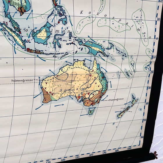 Image 1 of Mappa didattica “Tipi di paesaggi sulla Terra”