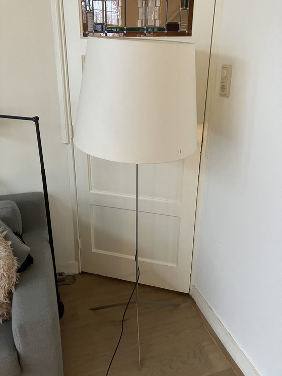 Image 1 of Moooi Floor Standing Lamp