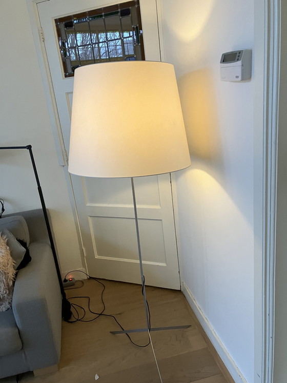 Image 1 of Moooi Floor Standing Lamp