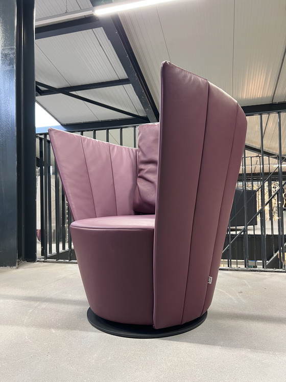 Image 1 of Show model Jori Pegasus swivel armchair purple