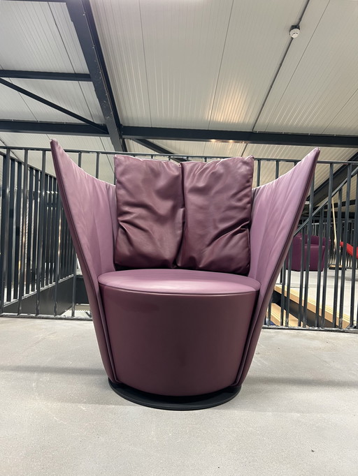 Show model Jori Pegasus swivel armchair purple