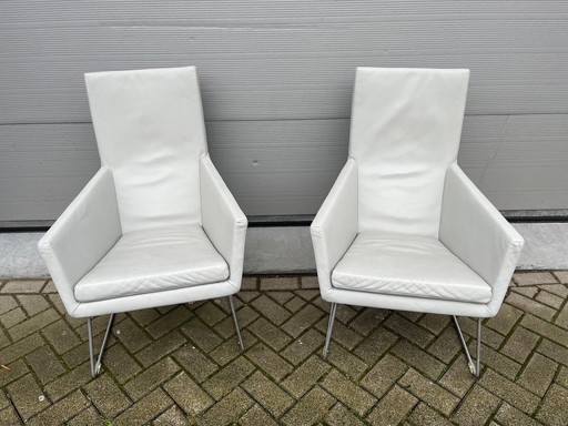 2X Poltrone Label Don in pelle grigio chiaro