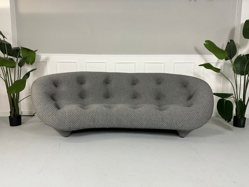 Ligne Roset Ploum 2 Designer Sofa Gray Couch 4 Seater