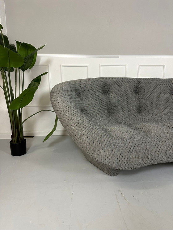 Image 1 of Ligne Roset Ploum 2 Designer Sofa Gray Couch 4 Seater