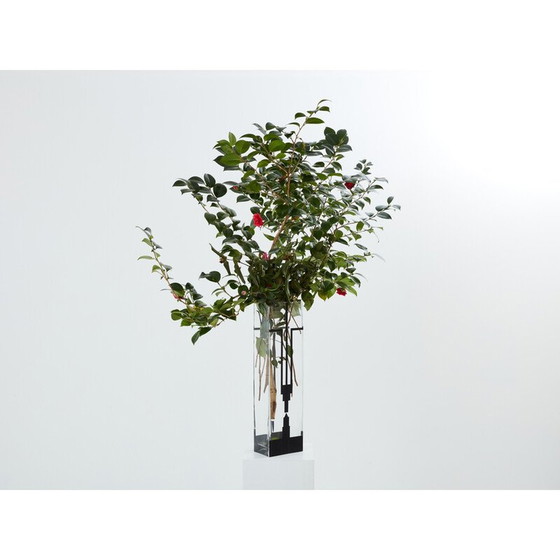 Image 1 of Vintage Art Deco vase in transparent and frosted black glass by Anatole Riecke, 1932