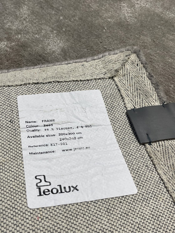 Image 1 of Leolux Frame Carpet Color Reed
