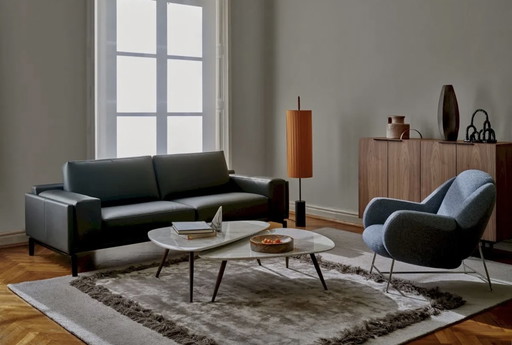 Leolux Frame Carpet Color Reed