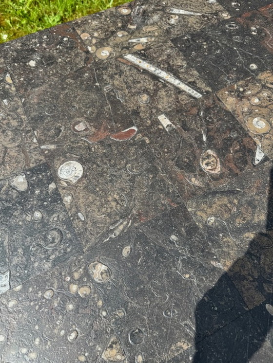 Image 1 of Table basse Pierre Fossile