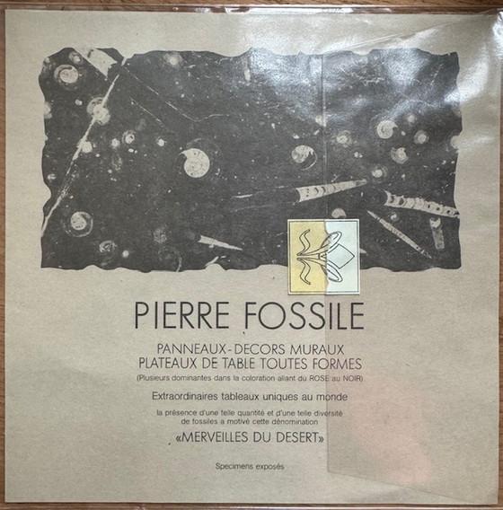 Image 1 of Pierre Fossile coffee table