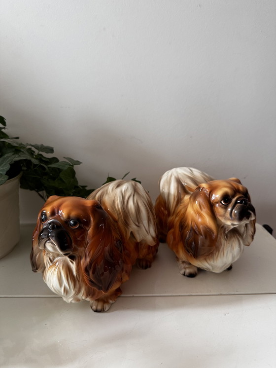 Image 1 of 2x Porcelain dog pekinese figurines