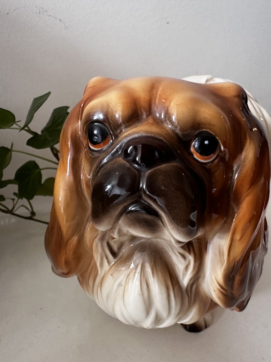 Image 1 of 2x Porcelain dog pekinese figurines