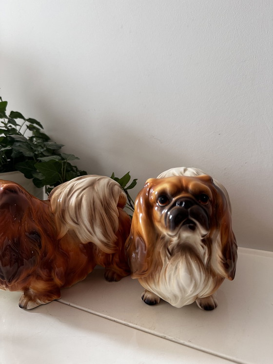 Image 1 of 2x figurines en porcelaine de chien pékinois