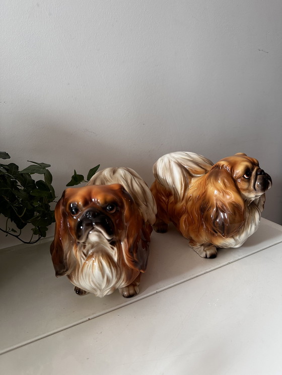 Image 1 of 2x figurines en porcelaine de chien pékinois