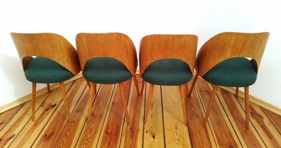 Image 1 of A Set Of Four Chairs Designed By Antonín Šuman For The Czechoslovak Tatra Factory