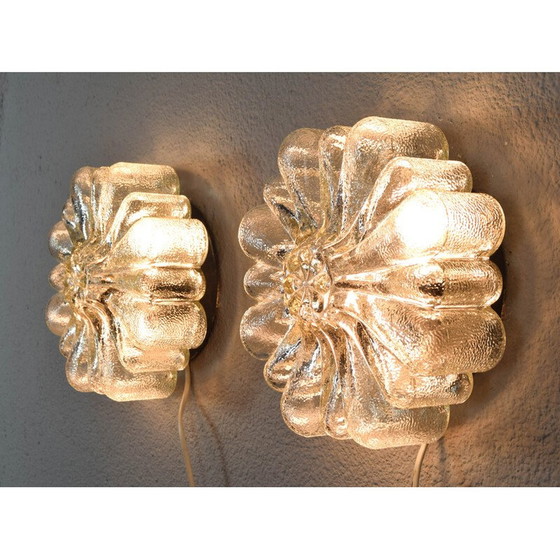 Image 1 of Pair of vintage transparent glass wall lights in the shape of flowers, Germany 1950
