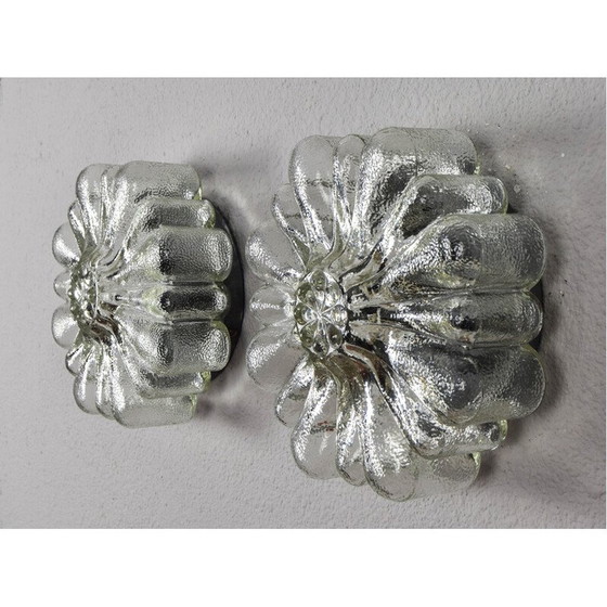 Image 1 of Pair of vintage transparent glass wall lights in the shape of flowers, Germany 1950