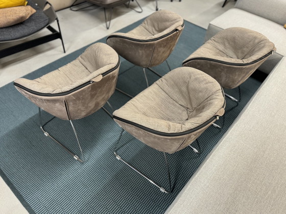 Image 1 of 4 Molinari Ginger Dining Chairs brown fabric leather