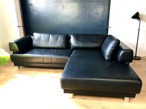 Ewald Schillig leather sofa Brand Face leather couch