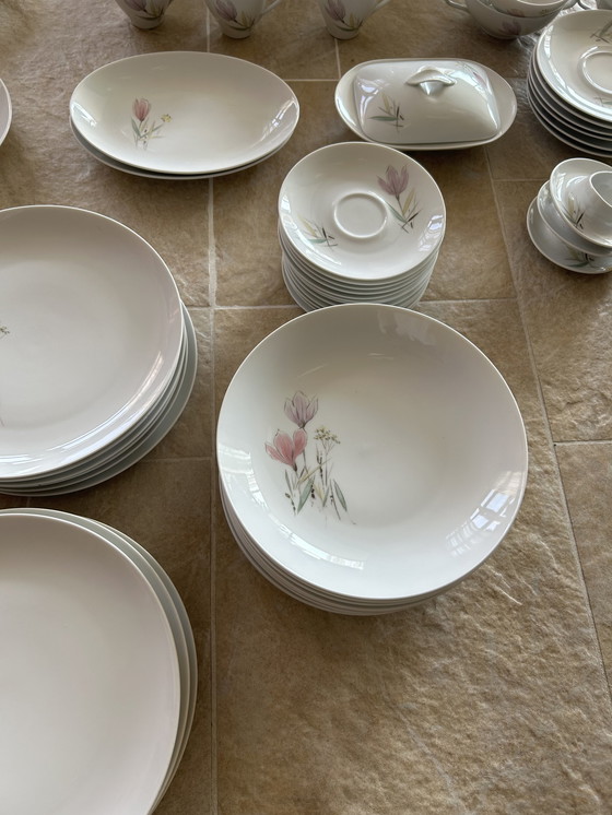 Image 1 of Essenbach Bavaria elaborate dinnerware set