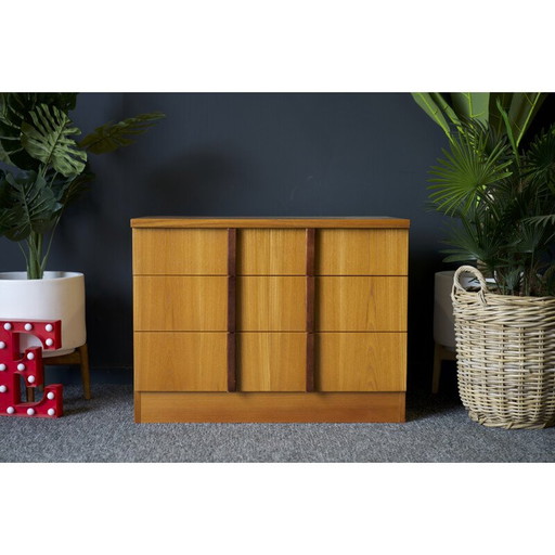 Vintage Teak Unit Set of Drawers by E Gomme for G Plan