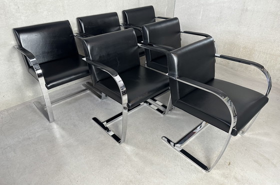 Image 1 of 6x Knoll Brno chair - Mies van der Rohe