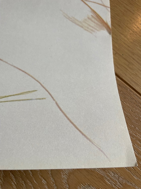 Image 1 of David Hockney, poster della mostra Dessins Et Gravures, imp. Dermont-Paris, stampato in Francia