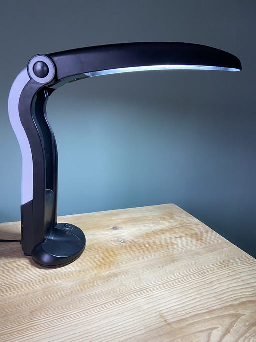 HT Huang Tucan lamp