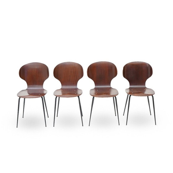 Image 1 of Set of 4 vintage "Lulli" chairs in metal and plywood by Carlo Ratti for Industria Legni Curvati, 1950