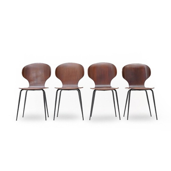 Image 1 of Set of 4 vintage "Lulli" chairs in metal and plywood by Carlo Ratti for Industria Legni Curvati, 1950